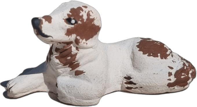 chien couché